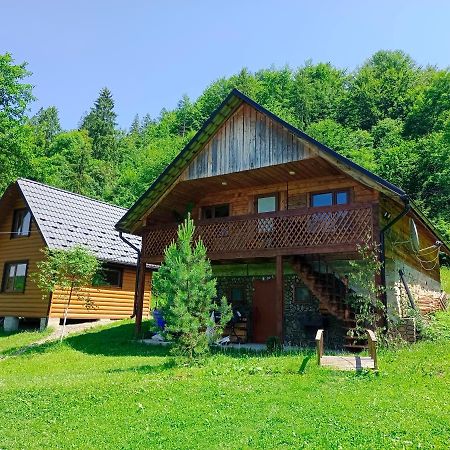 Під Горою Villa Sheshory Eksteriør bilde