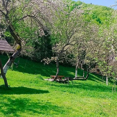 Під Горою Villa Sheshory Eksteriør bilde