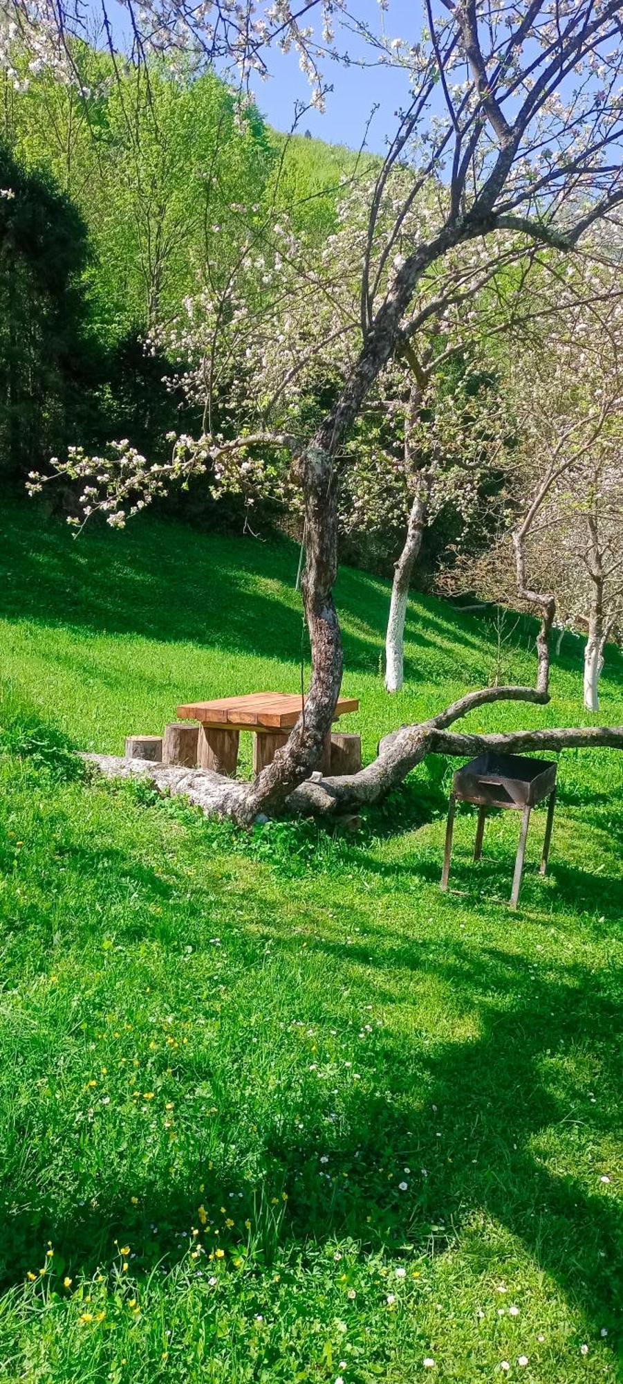 Під Горою Villa Sheshory Eksteriør bilde